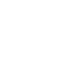 video-1.webp