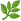 team-1.webp